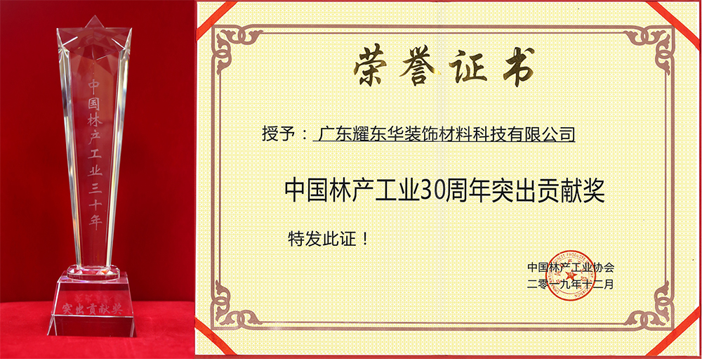 突出贡献奖1.jpg